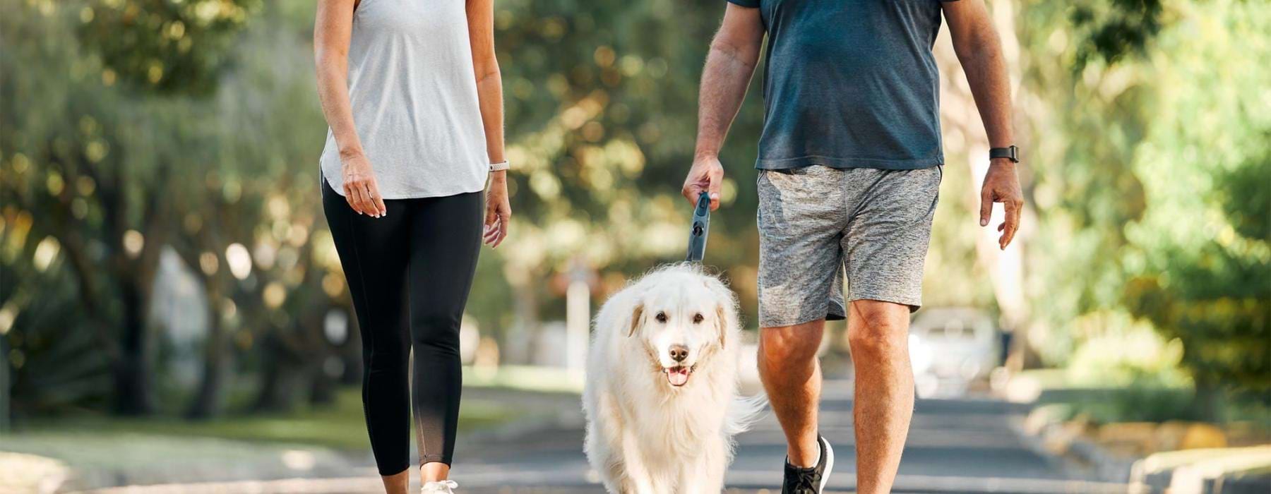 a man and a woman walking a dog on a leash